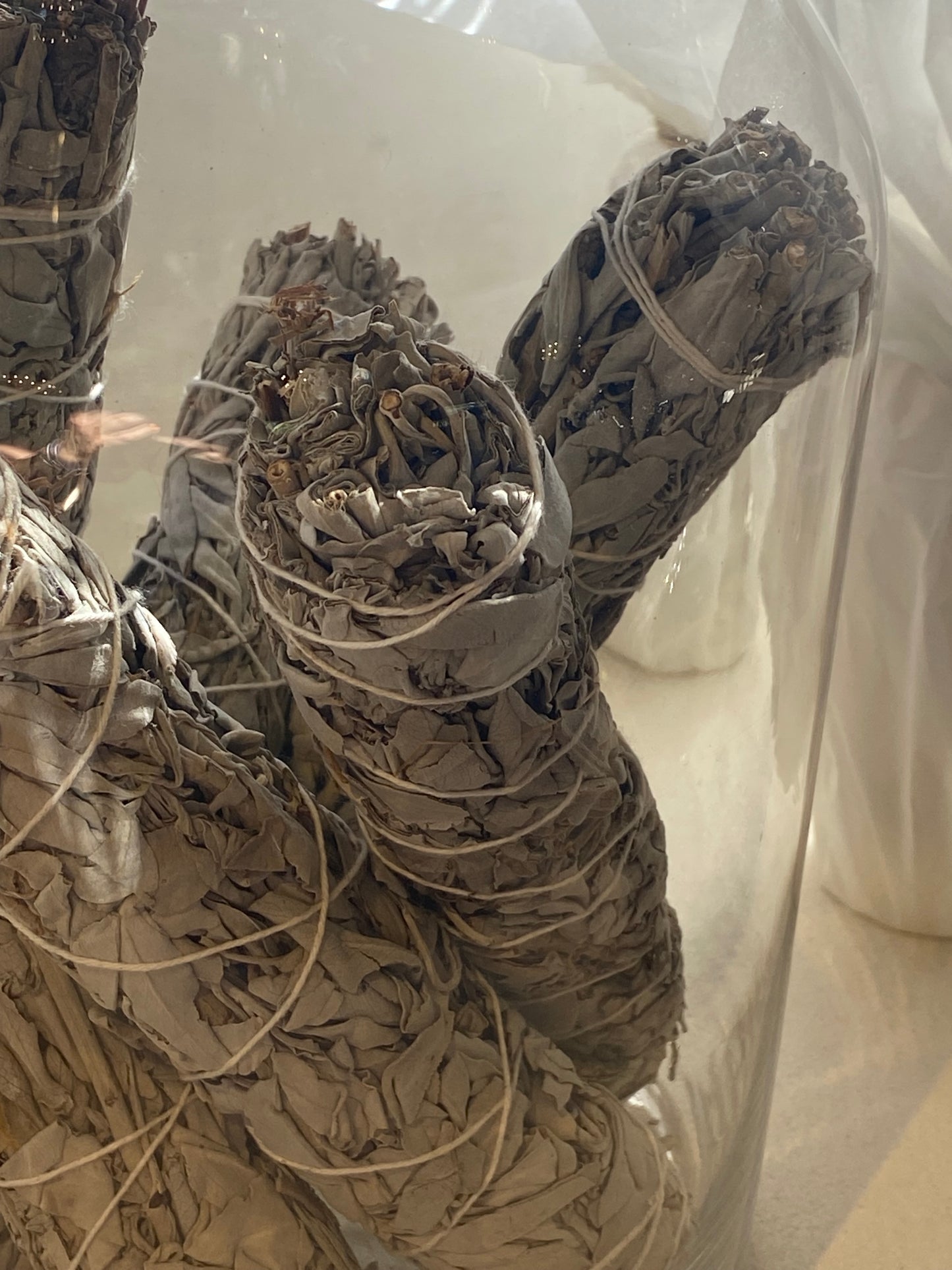 Bâton de sauge blanche