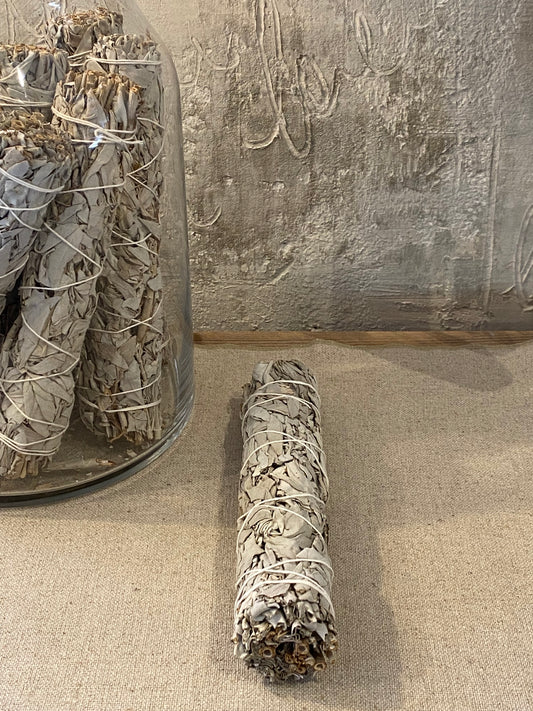 Bâton de sauge blanche