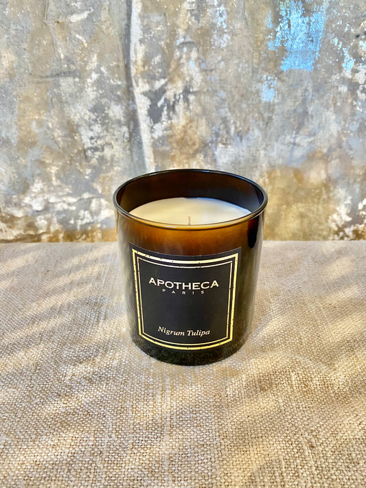 Bougie Nigrum Tulipa